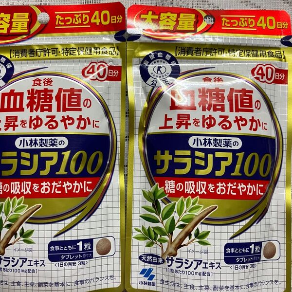 小林製薬 サラシア100 40日分× 2袋 80日分