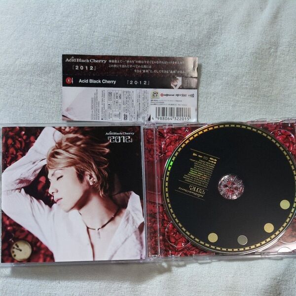 Acid Black Cherry『2012』 (DVD付B) CD アルバム