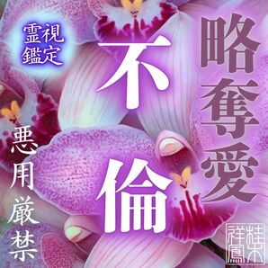 不倫・占い・霊視・片想い・復縁・結婚・ツインレイ・縁結び・縁切り・呪い・タロット