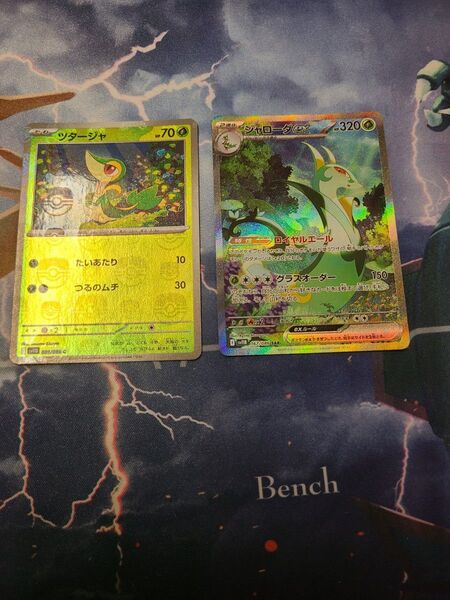 ポケモンカード ブラックボルト ジャローダex SAR ツタージャ マスボミラー