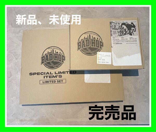 フルセット限定品 BADHOP SPECIAL THE LAST EDITION (3000部限定品) DVD バッドホップ