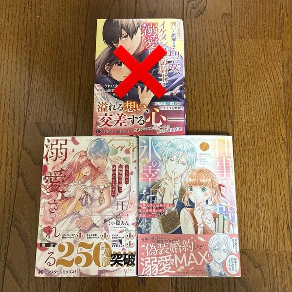 ヴェールの聖女 醜いと誤解された聖女、イケメン護衛騎士に溺愛される 4/売られた辺境伯令嬢は隣国の王太子に溺愛される11/仕事人間