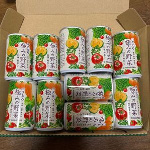 コクとろ 極みの野菜 160g 10本セット
