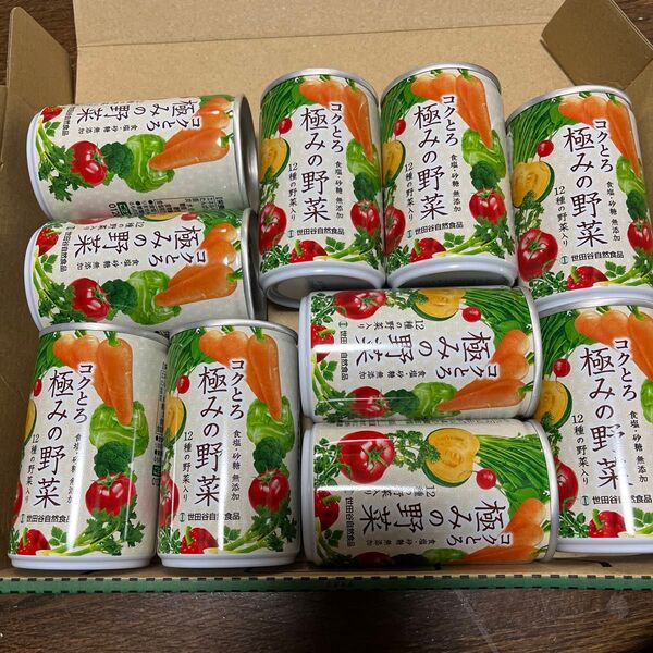 コクとろ 極みの野菜 160g 10本セット