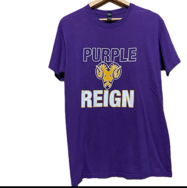 US古着 PURPLE REIGN Tシャツ 紫 / Mサイズ Tシャツ 半袖 purple reign