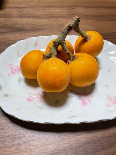 枇杷 びわ 1kg 宅急便コンパクトいっぱい無農薬 常温発送