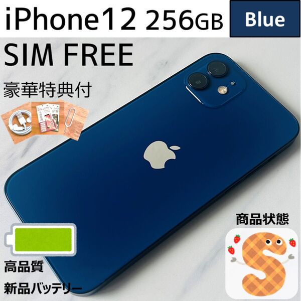【極美品☆】iPhone12 本体 Blue 256GB SIMフリー