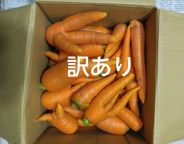 訳あり人参3キロ