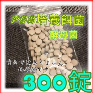 ☆ バクテリアPSB培養の餌菌 乾燥酵母300錠
