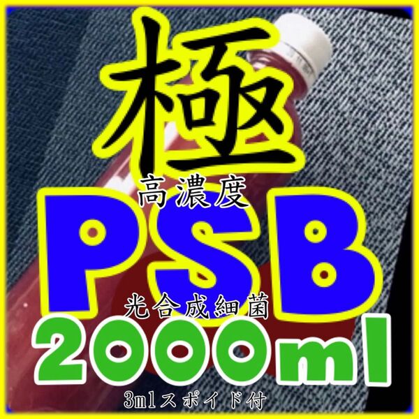☆ 極高濃度 光合成細菌PSB種菌 増量2000ml &スポイド付
