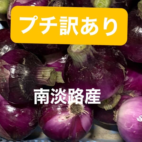 赤玉プチ訳あり南淡路産玉ねぎ10K大玉