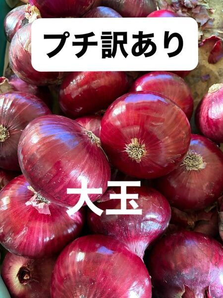 プチ訳あり南淡路産赤玉大玉10K