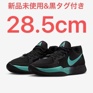 【確実正規品】Nike Ja 2 "Tiffany Swoosh"28.5cm