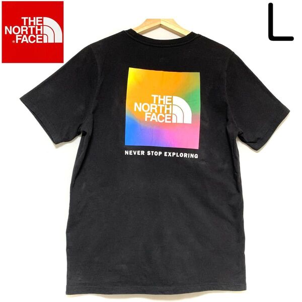 輸入古着 The North Face ザ・ノースフェイス ダブルフェイス Tシャツ 虹色プリント ロゴ