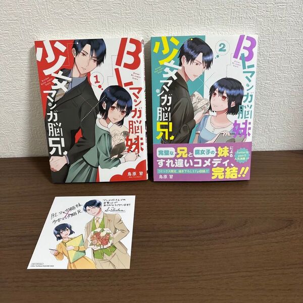BLマンガ脳妹×少女マンガ脳兄 1 & 2 2巻セット 完結 全巻セット