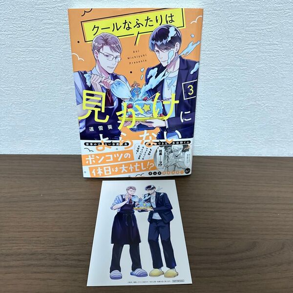 クールなふたりは見かけによらない 3巻