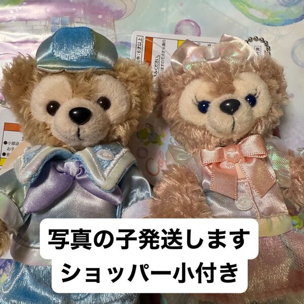 ダッフィー20周年 カラフルハピネス ダッフィー シェリーメイ ぬいぐるみバッジ