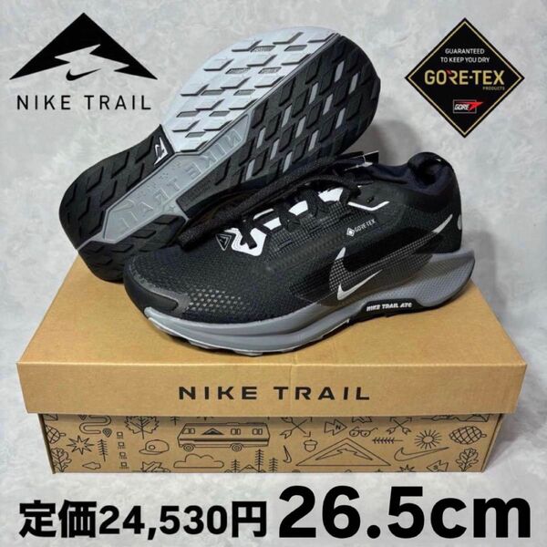 ナイキ W ペガサス トレイル5 ゴアテックス ブラック クールグレー 26.5 FQ0912-001 ウォーキング ランニング