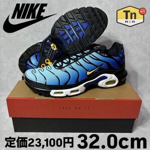 新品 ナイキ エアマックス プラス OG ハイパー ブルー マップラ 32.0 DX0755-001 スニーカー