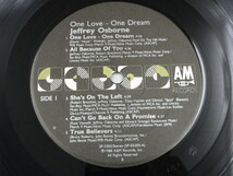 【SOUL LP】JEFFREY OSBORN / ONE LOVE-ONE DREAM_画像4