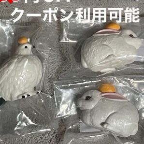 もちにまる そのに うさぎ らいちょう