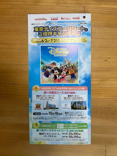 ディズニー 懸賞 選べるパークチケット 4名分 2口分