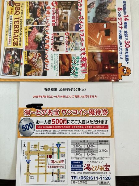湯〜とぴあ宝 ワンコイン優待券 一人500円 2名まで可能期限は2025.9.30まで 湯ーとぴあ宝 4600円分 健康ランド