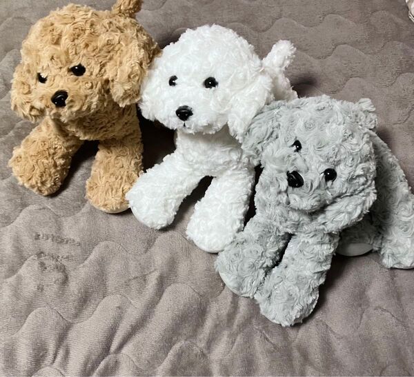 たちぬい トイプードル ぬいぐるみ 全3種セット YAMANI TACHINUI