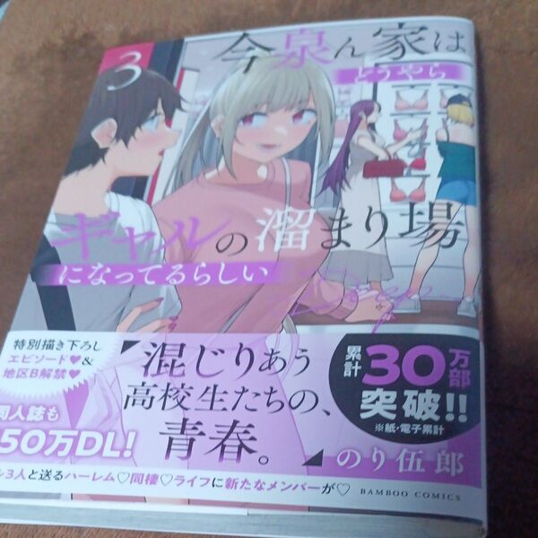 今泉ん家はどうやらギャルの溜まり場になってるらしい~DEEP~ 3巻