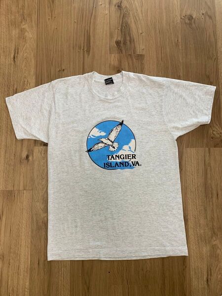 アメリカ古着 Tシャツフルーツオブザルーム 90年代 L アメリカ製