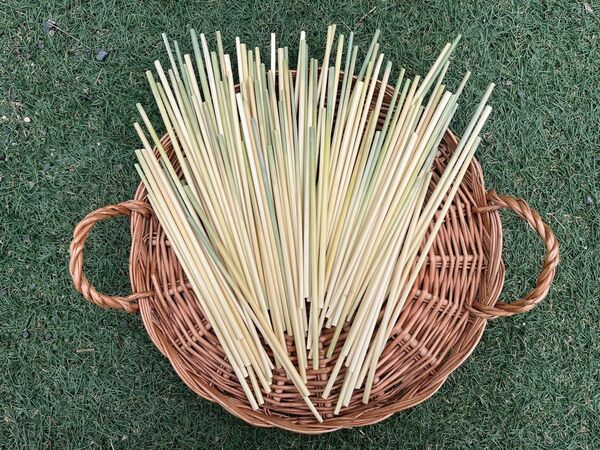 ライ麦ストロー ヒンメリ等藁細工用 約30㎝、90本