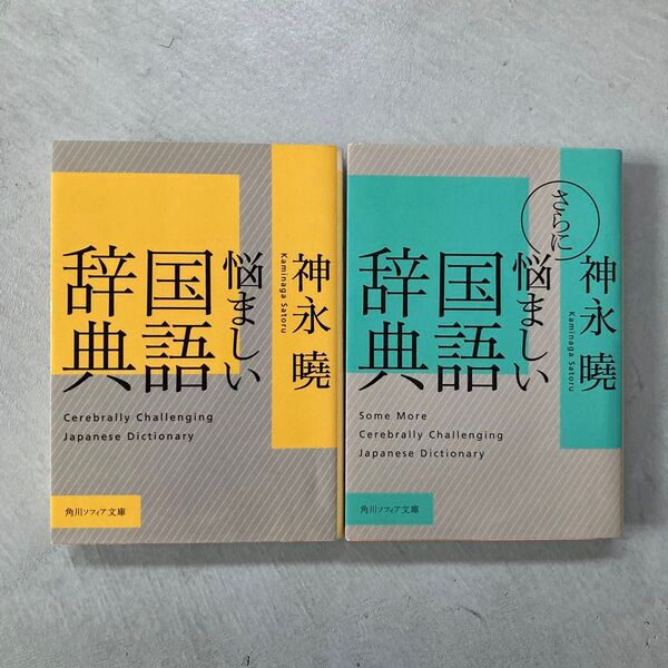 悩ましい国語辞典 (角川ソフィア文庫 E112-1) 神永曉/〔著〕