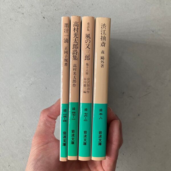 4冊セット 渋江抽斎 (岩波文庫) (改版) 森鴎外/著