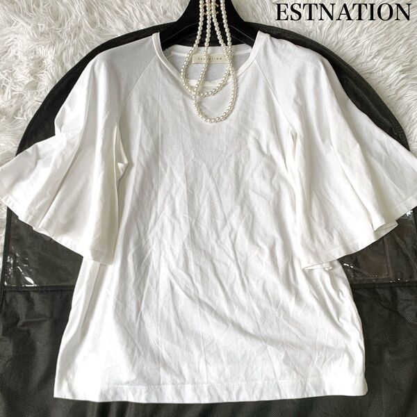 ESTNATION エストネーション フレアスリーブ 半袖Tシャツ ラッフルスリーブ フリル 38サイズ コットン100%