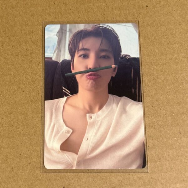 SEVENTEEN ウォヌ spill the feels kit 封入トレカ
