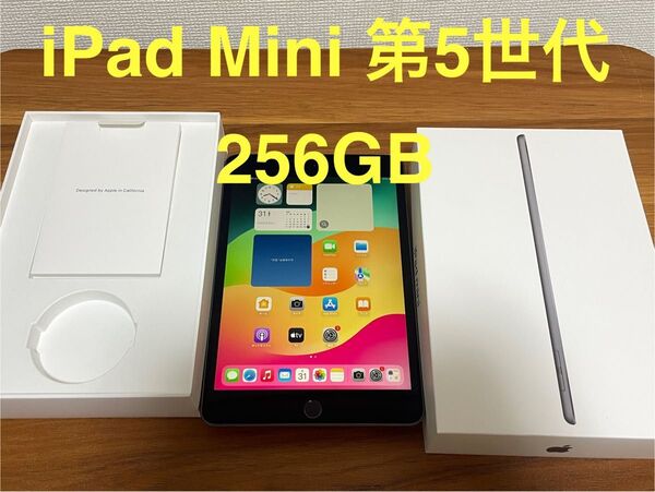 iPad mini 第5世代 Wi-Fi + Cellular 256GB スペースグレイ 動作確認済