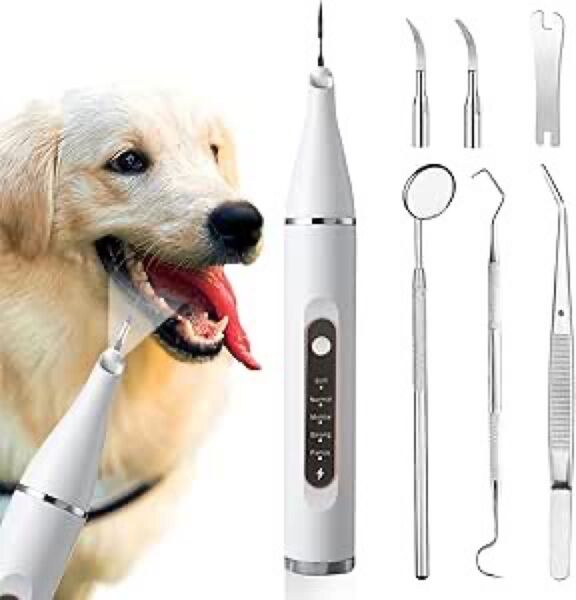 新品未使用 犬用 ペット 超音波歯間クリーナー 家庭用歯清潔器 口腔洗浄器 クリーナー