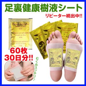 足裏樹液シート 60枚 むくみ足裏シート 旅行ケア 個包装 健康 スポーツ疲れ リフレッシュ 休足シート 立ち仕事 デスクワーク