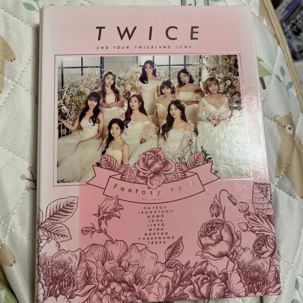 TWICE 2nd TOUR TWICELAND ライブグッズ 「トレカケース」and トレカ(ダヒョンペンおすすめ)