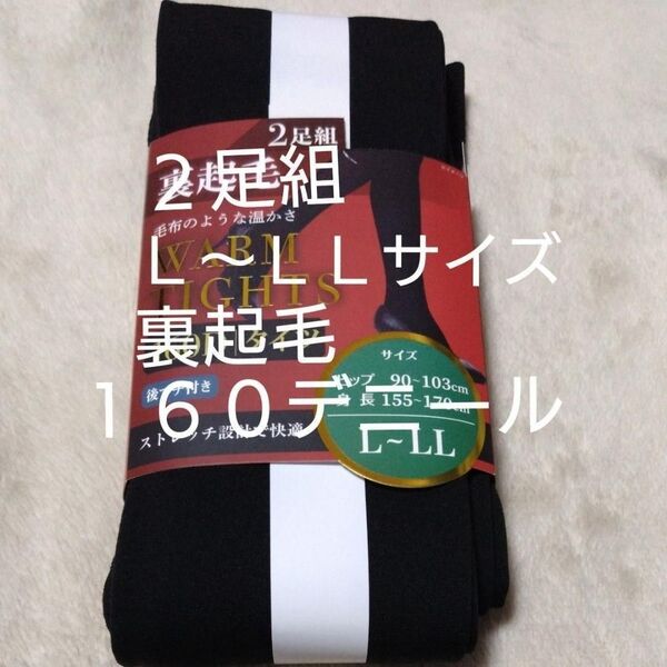 ②レディース 裏起毛タイツ 160デニール L〜LLサイズ 後マチ付 2足
