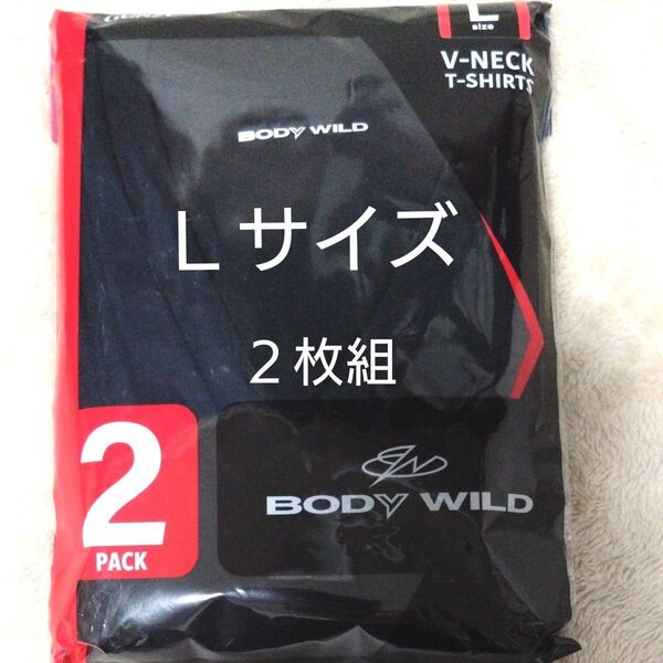 ②GUNZE グンゼ BODYWILD メンズ 紳士 Lサイズ Vネック 半袖 Tシャツ 抗菌防臭加工 2枚組 ブラック