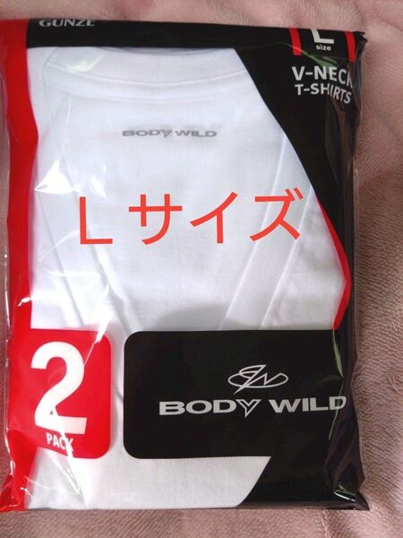 ②GUNZE グンゼ BODYWILD メンズ 紳士 Lサイズ Vネック 半袖 Tシャツ 抗菌防臭加工 2枚組 ホワイト