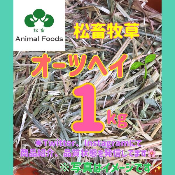★松畜牧草 ★オーツヘイ スーパープレミアム オーストラリア産 1kg