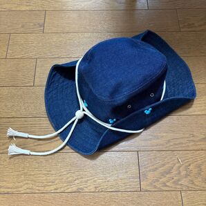 ディズニー 被り物 ハット