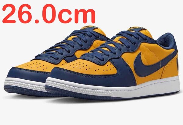 Nike Terminator Low University Gold and Navy Michigan ターミネーター ロー