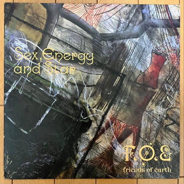 F.O.E #1 SEX, ENERGY and STAR LP
