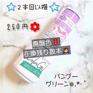 【廃盤品・新品】キャンドゥ パルキコイ パル 第5弾 バンブーグリーン (在庫残り2本)