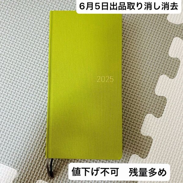 ほぼ日手帳 weeks MEGA 英語版 カラーズ ピスタチオ 2025年 1月始まり 週間レフト 手帳 ダイアリー