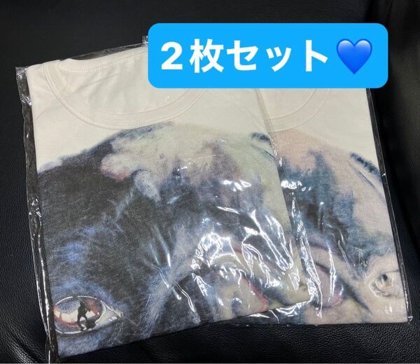 大野智『FREE STYLE 2 』パグTシャツ レギュラー+フィットサイズ2枚セット フリースタイル 未開封 半袖