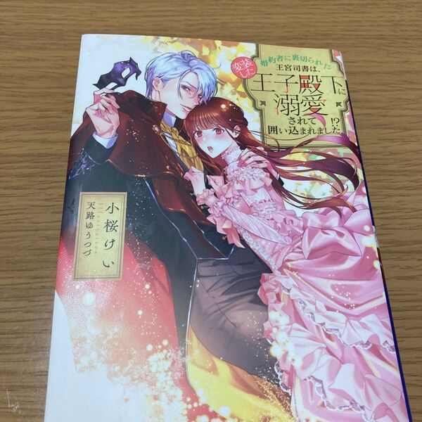 婚約者に裏切られた王宮司書は、変装した王子殿下に溺愛されて囲い込まれました!? (蜜猫F文庫 MF-018) 小桜けい/著